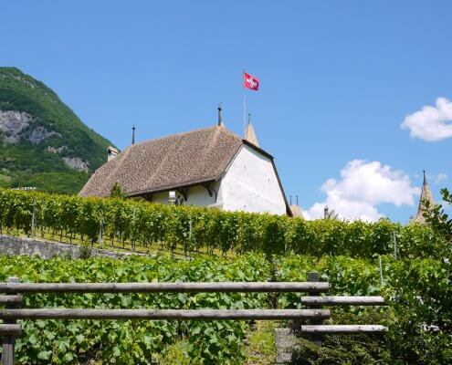 Lavaux Vineyards UNESCO World Heritage
