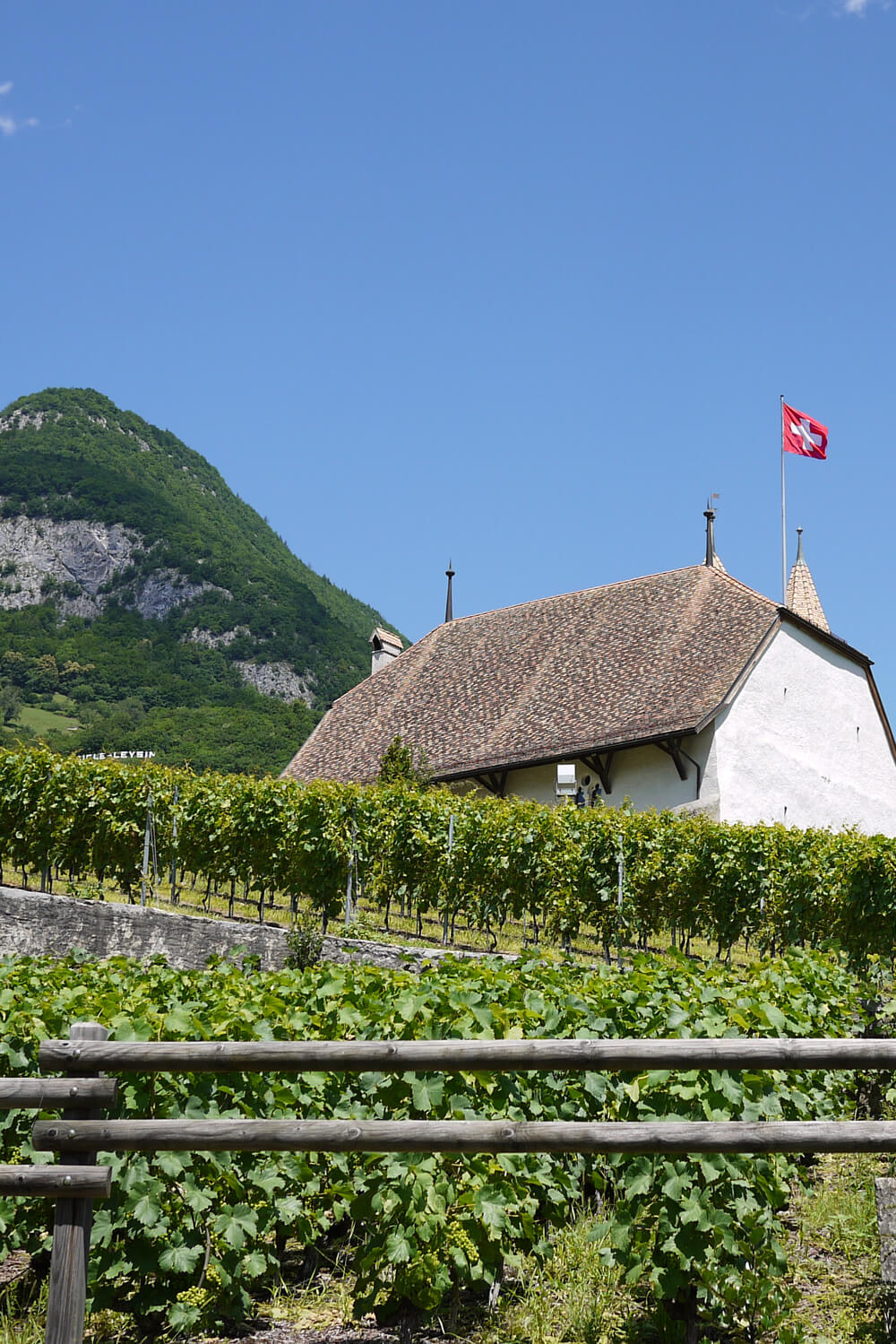Lavaux Vineyards UNESCO World Heritage