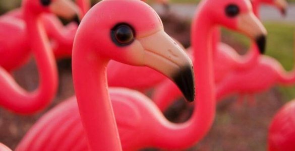 Plastic Kitsch Switzerland - Pink Flamingo