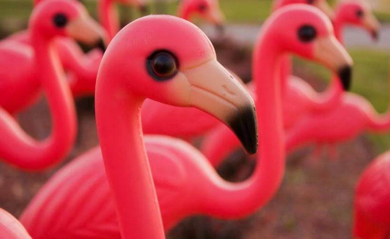 Plastic Kitsch Switzerland - Pink Flamingo