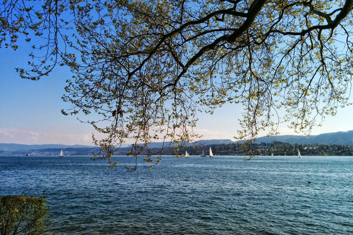 Zürich Lakeside at Tiefenbrunnen
