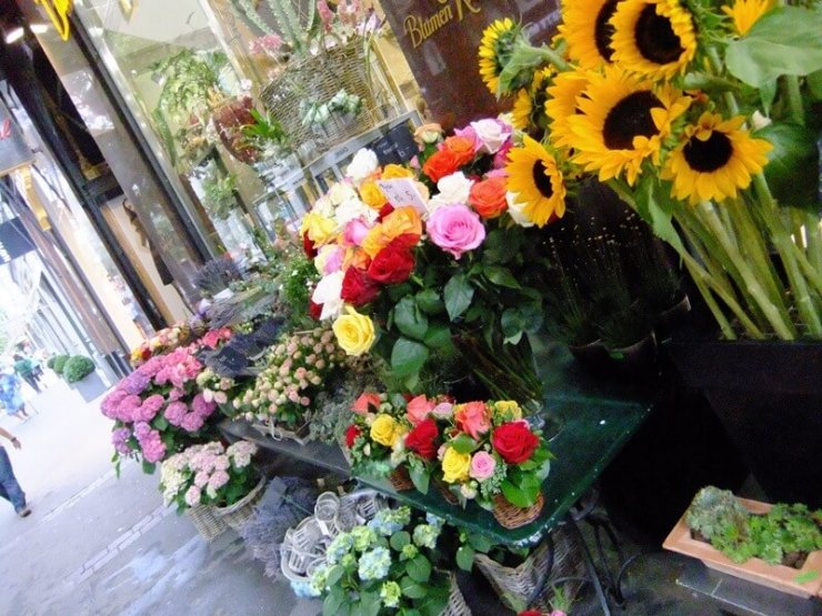 Framing the Colors of Zürich A Photo Walk Newly Swissed Online Magazine