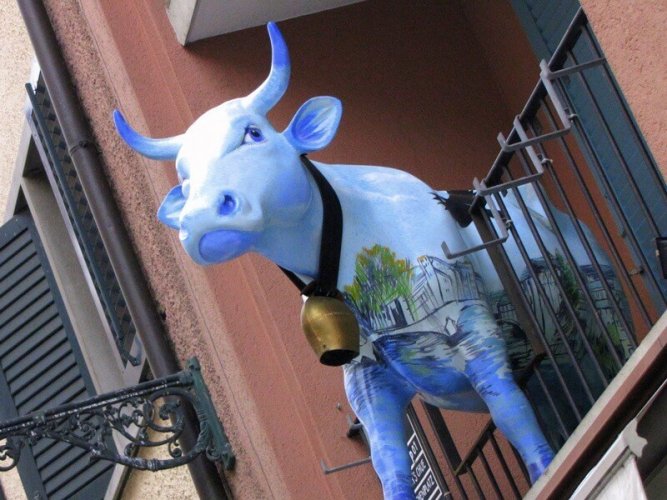 Framing the Colors of Zürich A Photo Walk Newly Swissed Online Magazine