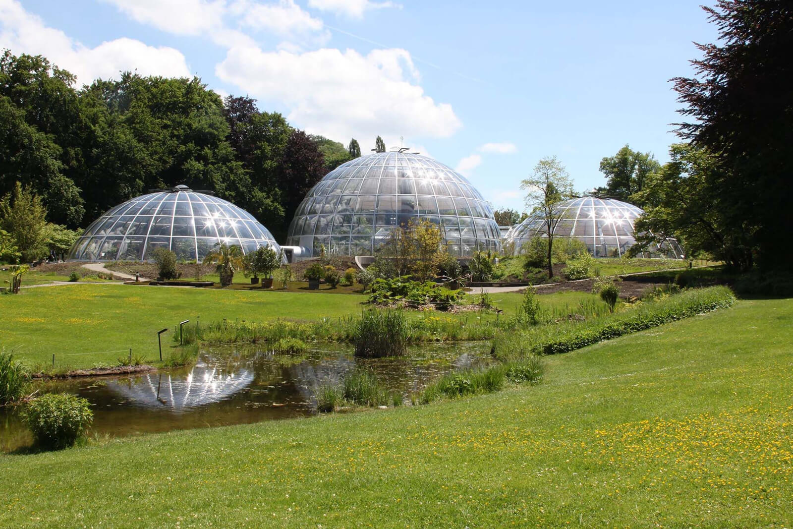 Botanical Garden University of Zurich