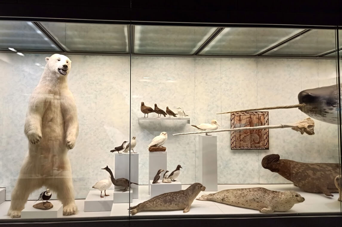 Zoologisches Museum der Universität Zürich
