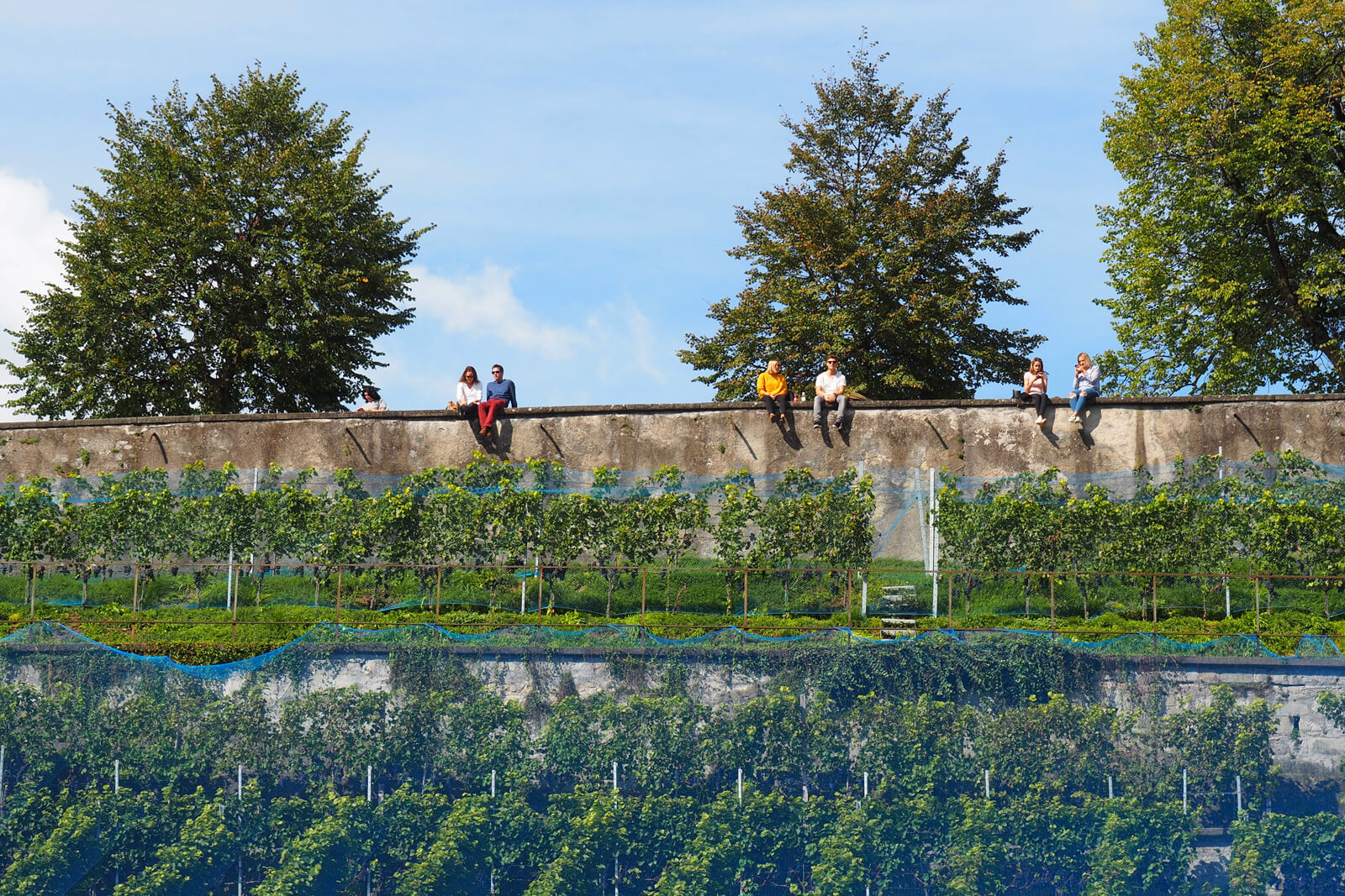 Rapperswil Castle Vinery