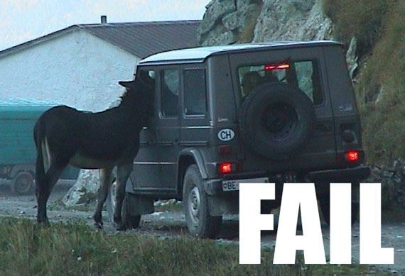 Donkey FAIL