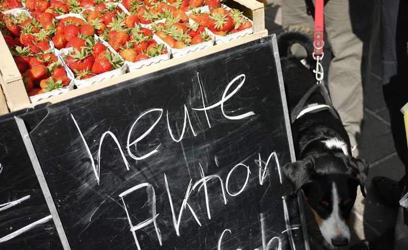 Zurich Buerkliplatz Farmers Market