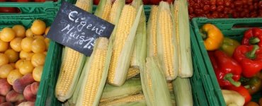 Zurich Farmers Markets