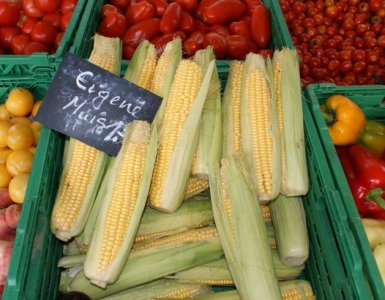 Zurich Farmers Markets