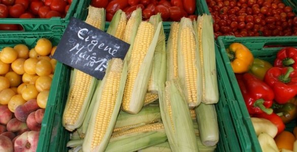 Zurich Farmers Markets