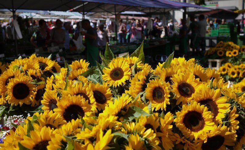 Zurich Farmers Markets - Oerlikon