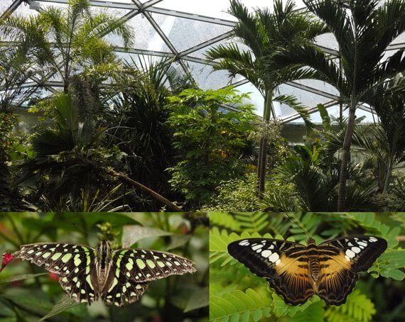 Papiliorama Kerzers Switzerland