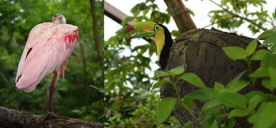 Papiliorama Kerzers Switzerland