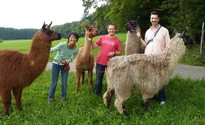 Llama Trekking Bonstetten Zurich