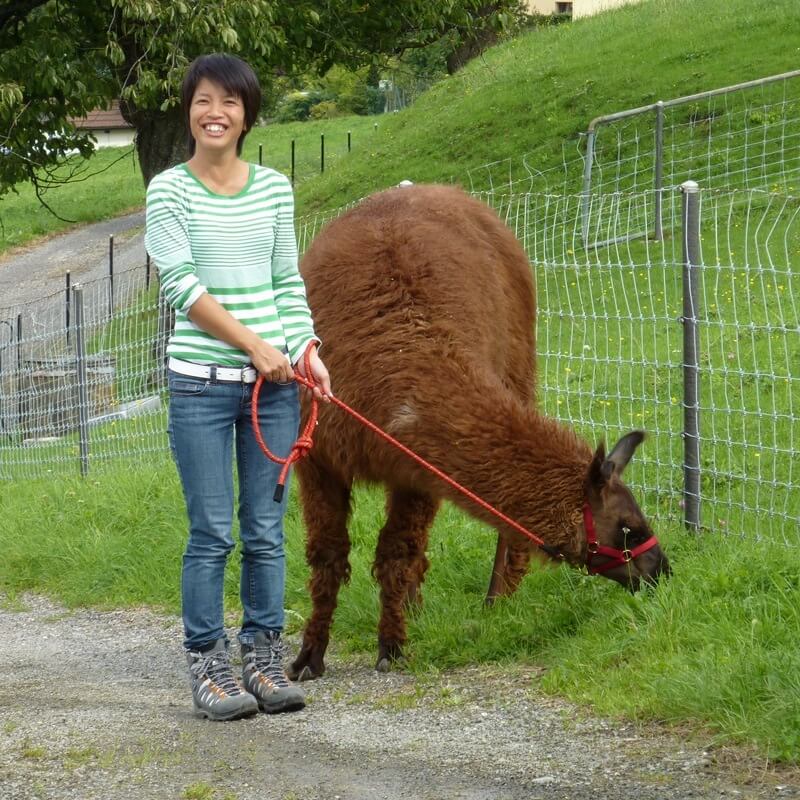 Llama Trekking Bonstetten Zurich