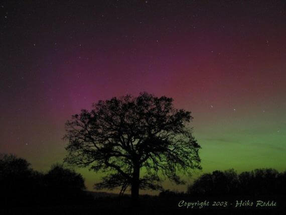 Northern Lights - Courtesy of Heiko Rodde