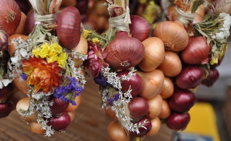 Bern Onion Market