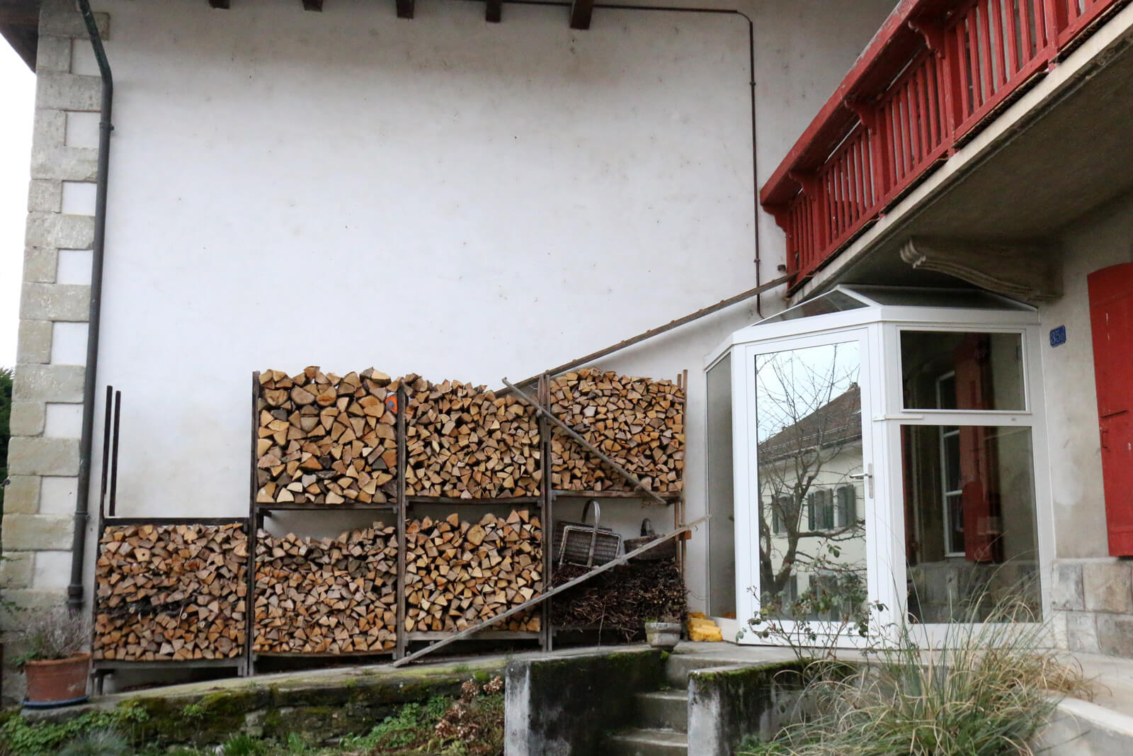 Scary cat ladders in Switzerland