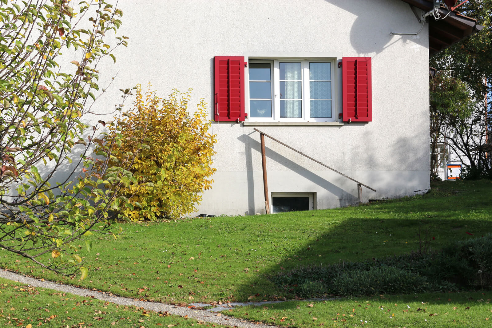 Scary cat ladders in Switzerland