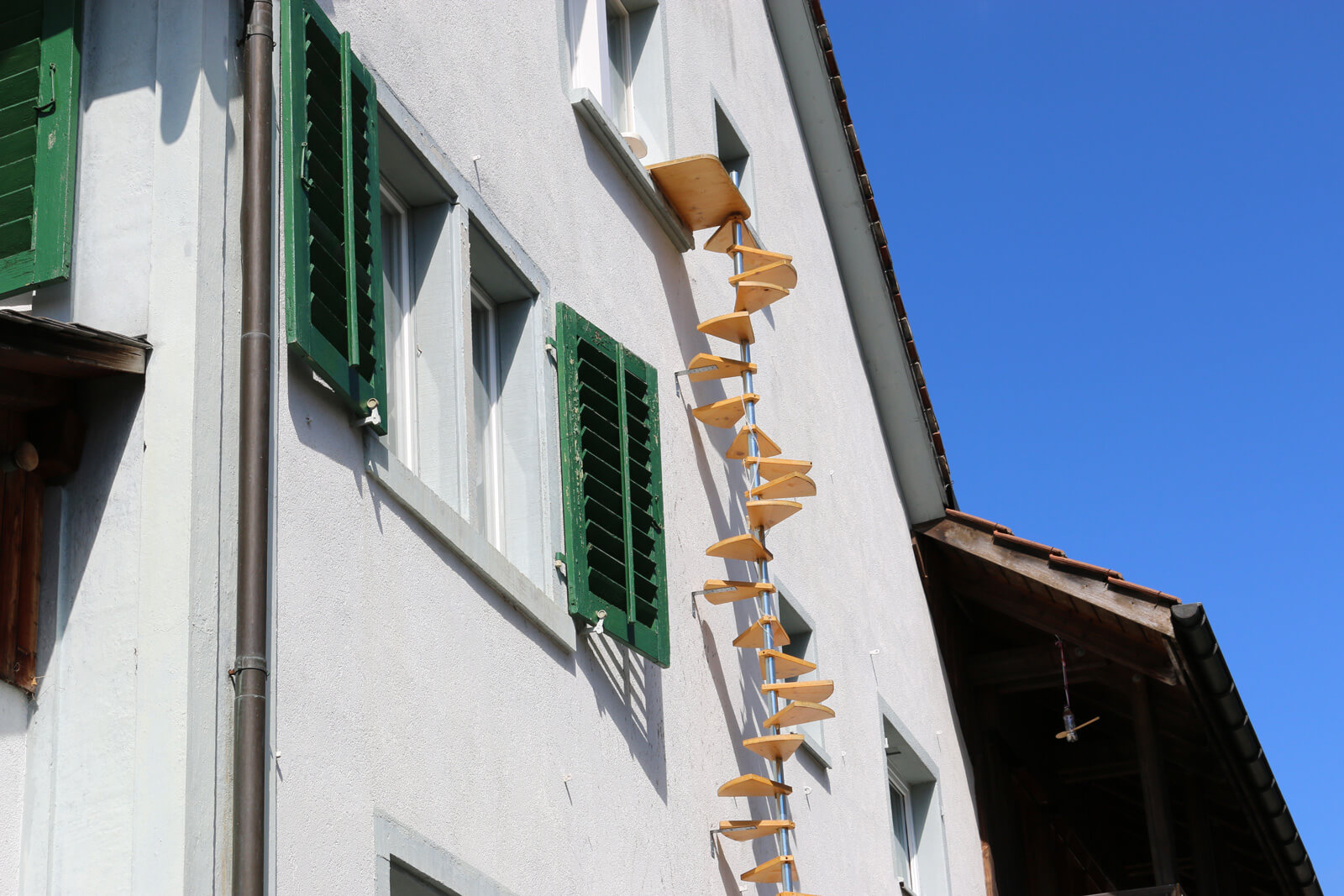 Scary cat ladders in Switzerland