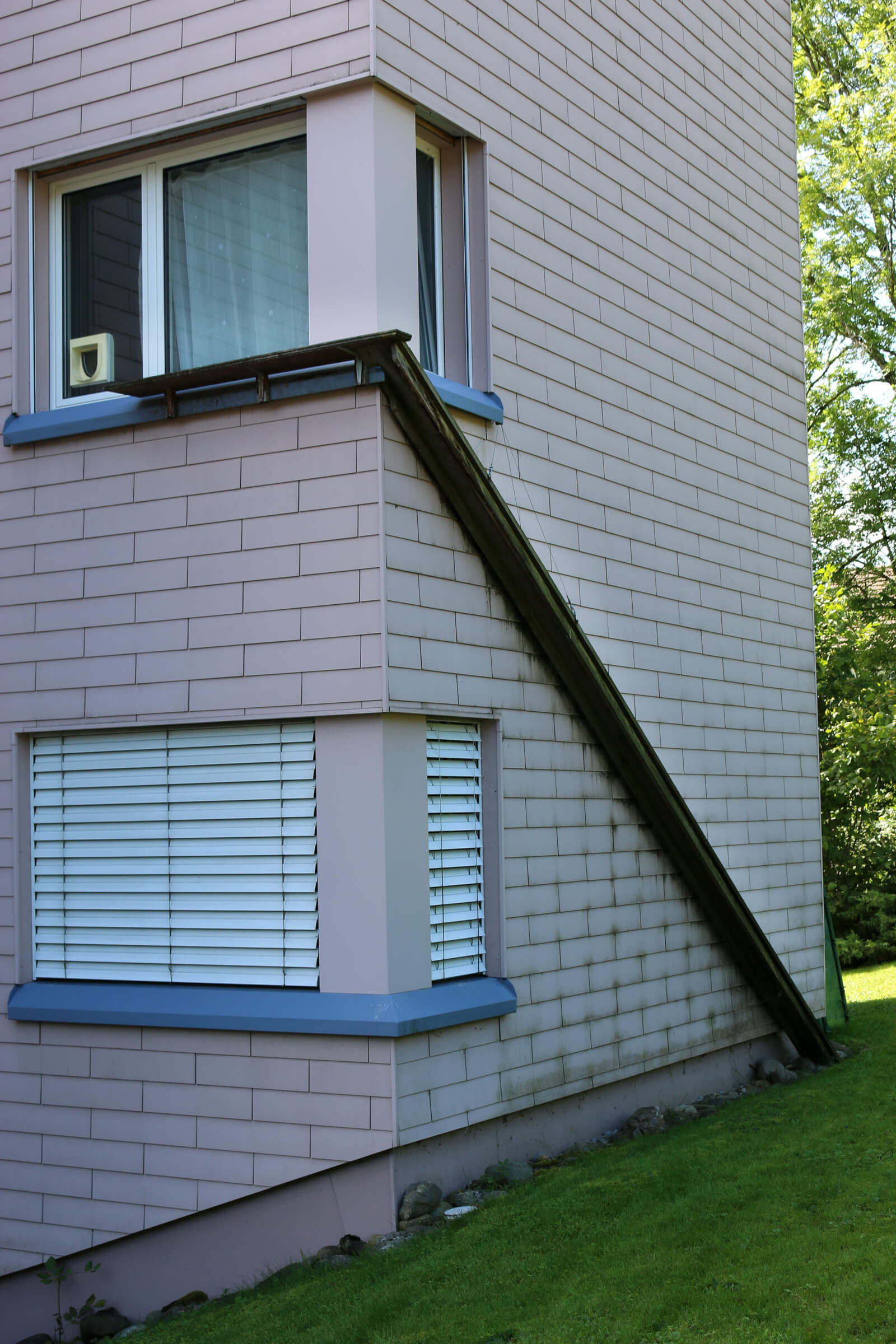 Scary cat ladders in Switzerland