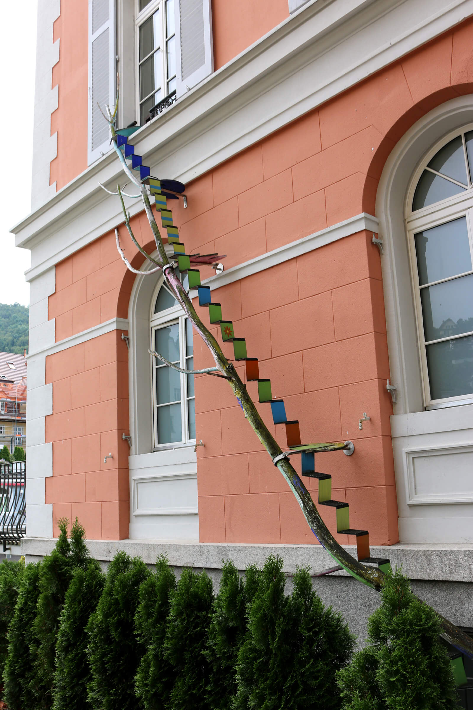 Scary cat ladders in Switzerland