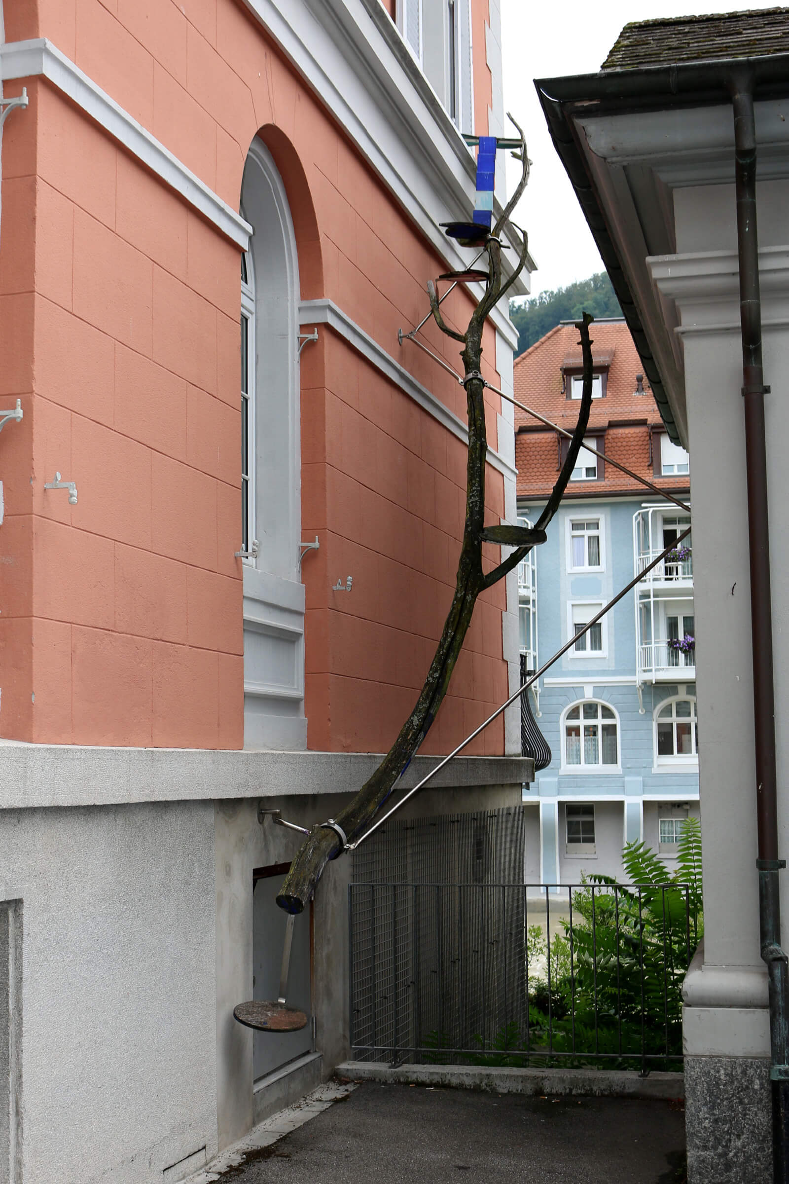 Scary cat ladders in Switzerland