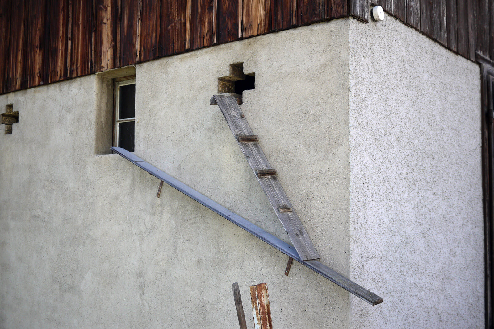 Scary cat ladders in Switzerland