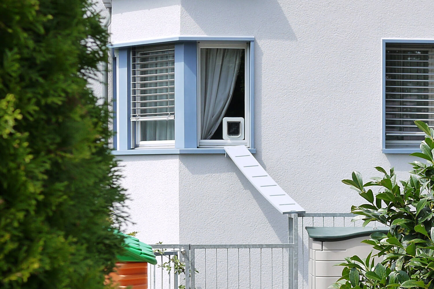 Scary cat ladders in Switzerland