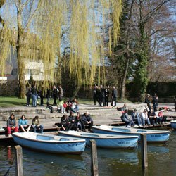 Greifensee Boat Rental