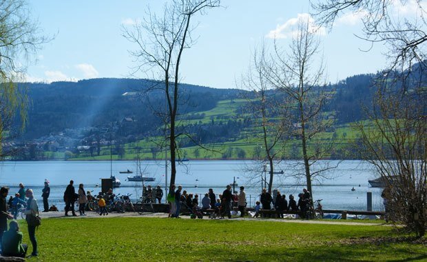 Greifensee at the Lake