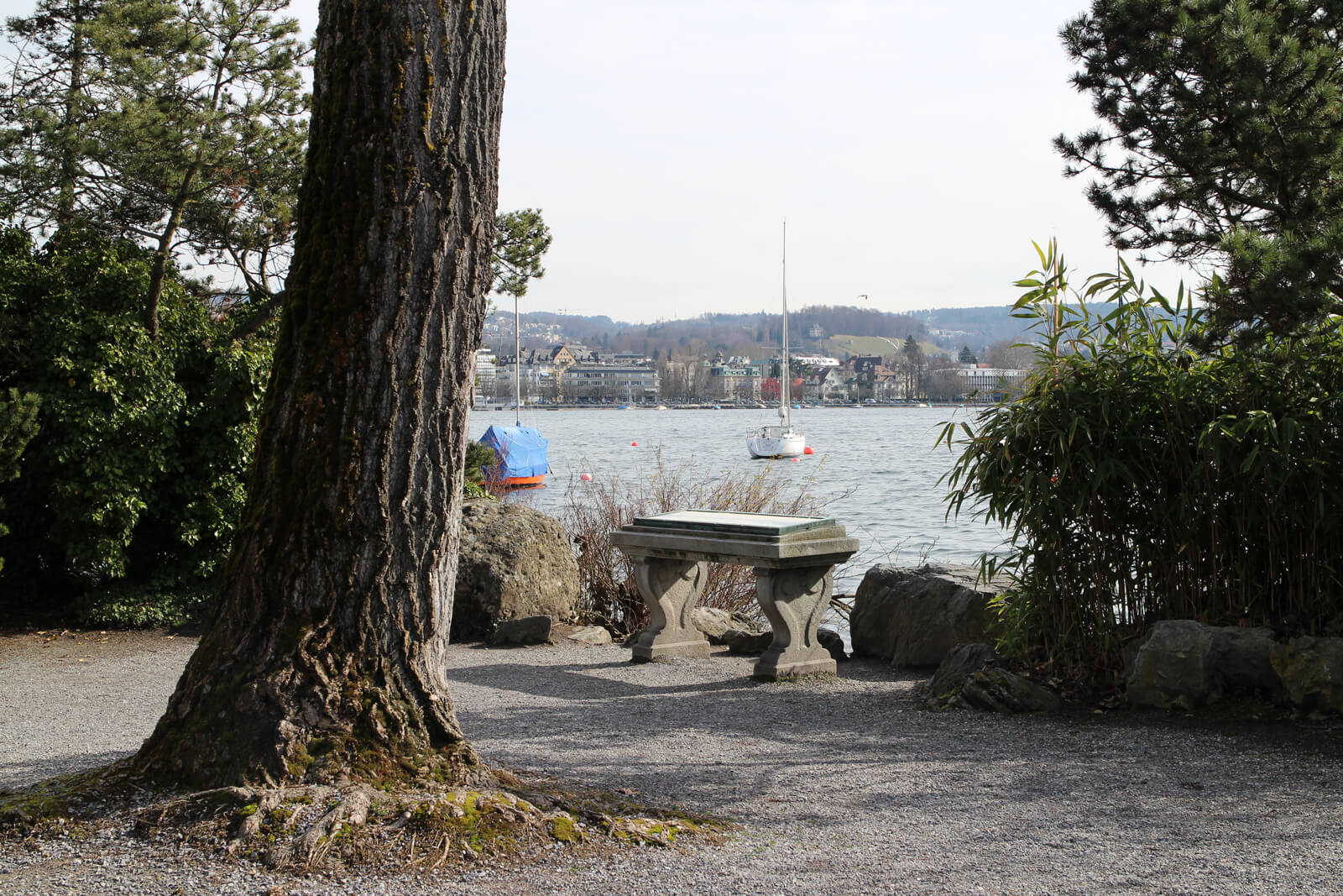 Lake Zurich in February