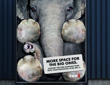 Zoo Zürich - Elephant Fundraiser