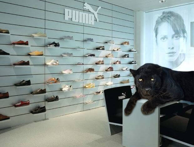 Swiss Black Panther at Zurich Puma Store