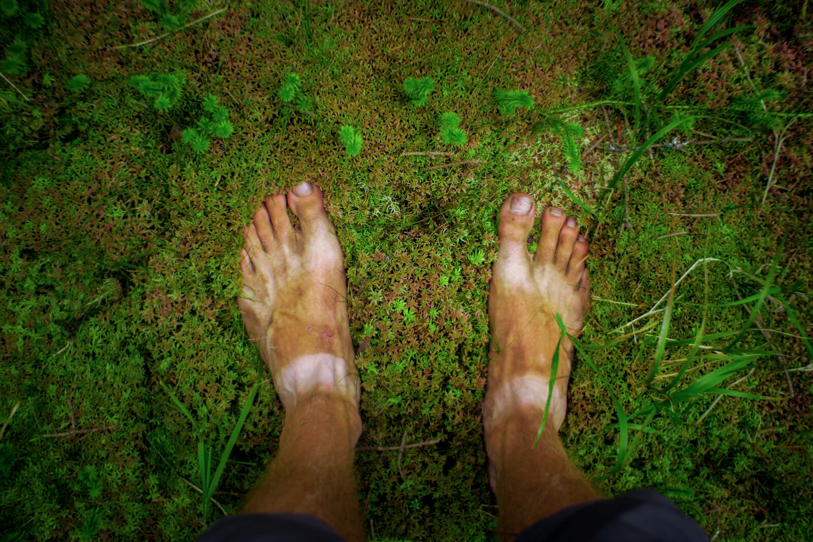 Barefoot Running in the Forest