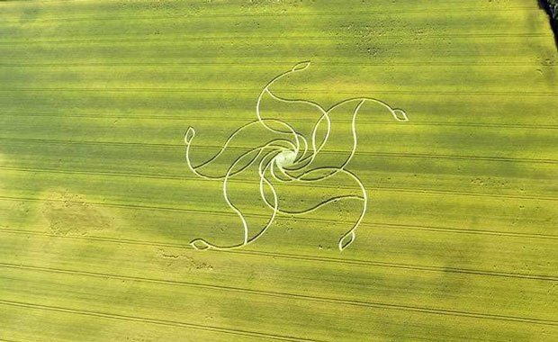 Swiss Crop Circle - Diessenhofen 2008