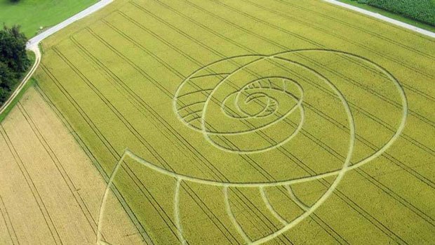 Swiss Crop Circle - Hoerhausen 2009