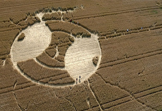 Swiss Crop Circle - Unterehrendingen 2002