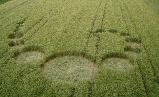 Swiss Crop Circle - Wetzikon 2005