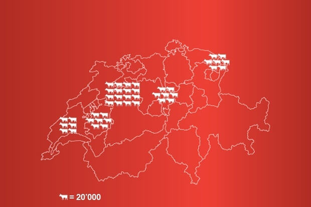 Counting the Cows of Switzerland