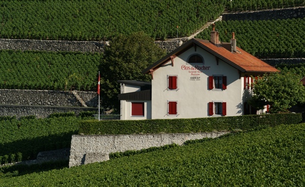 Notes on Swiss Wine - Clos du Rocher