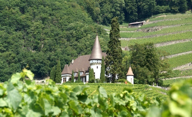 Notes on Swiss Wine - Maison Blanche in Yvorne