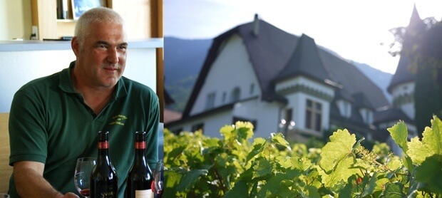 Notes on Swiss Wine - Maison Blanche in Yvorne