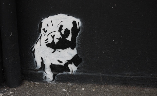 Street Art in Switzerland - Doggy