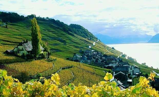 UNESCO Lavaux