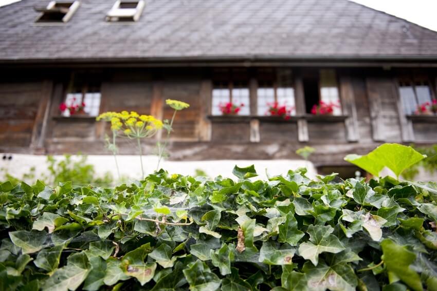 Swissness by Tabea Reusser - Haus in Bueren