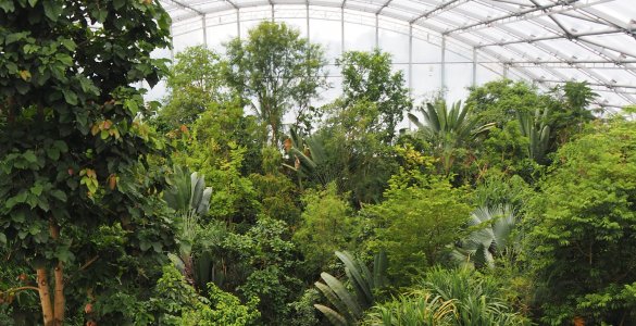 Masoala Rainforest at Zoo Zurich