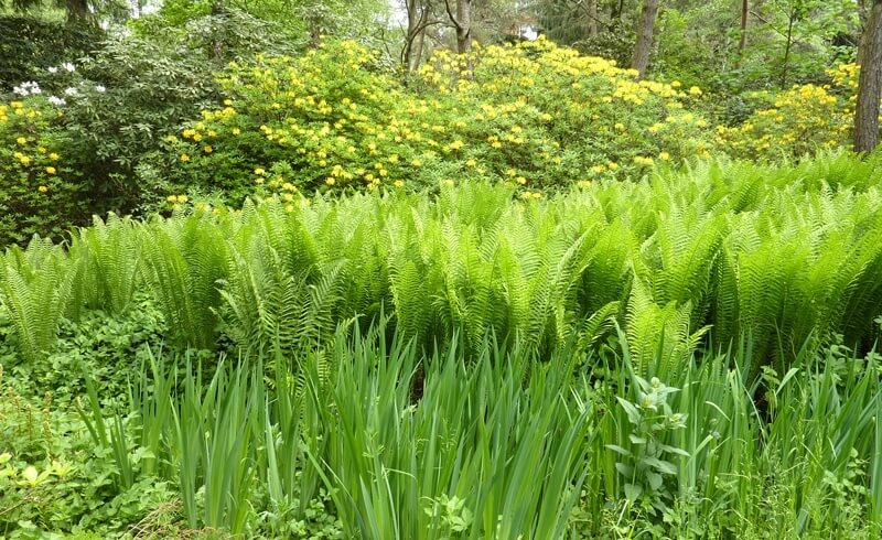 Seleger Moor Nature Park