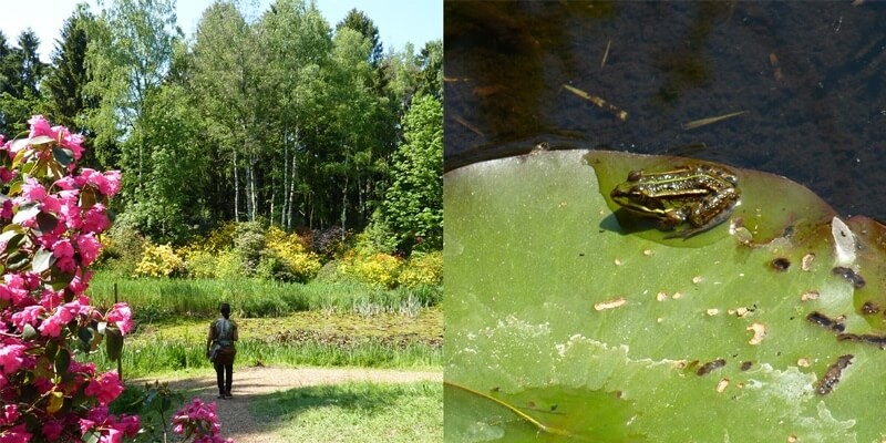 Seleger Moor Nature Park